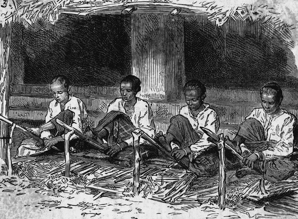 Detail of Young Ceylonese Natives Preparing Bark for Trade by Anonymous
