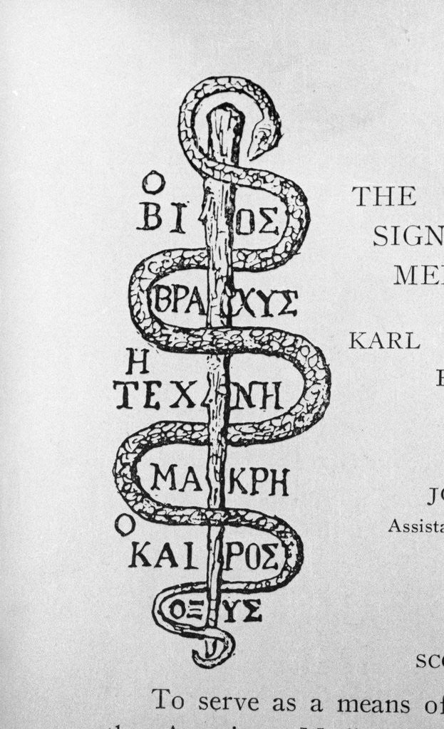 Detail of Serpent of Aesculapius by Anonymous