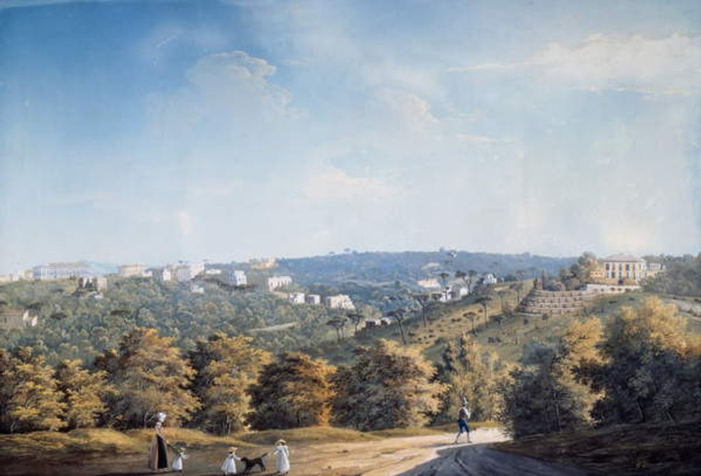 Detail of Capodimonte hill and villas along Ponti Rossi road by Luigi Fergola