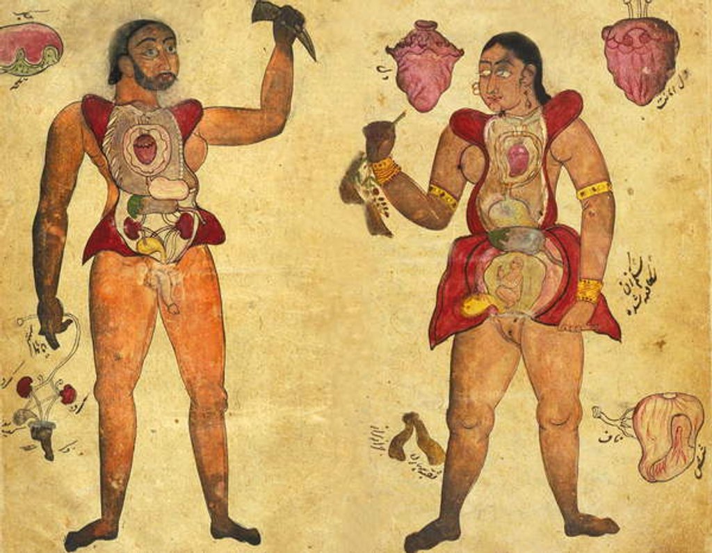 Detail of Anatomical illustration of a man and a Woman holding their own internal organs by Persian School