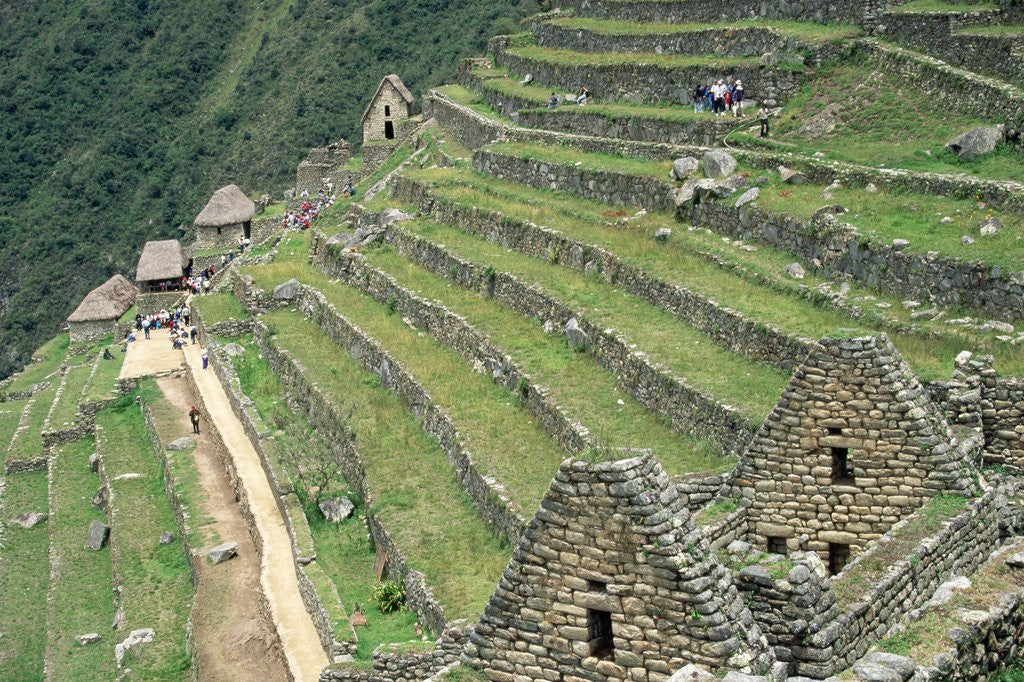 Detail of Terraced Fields at Machu Picchu by Anonymous