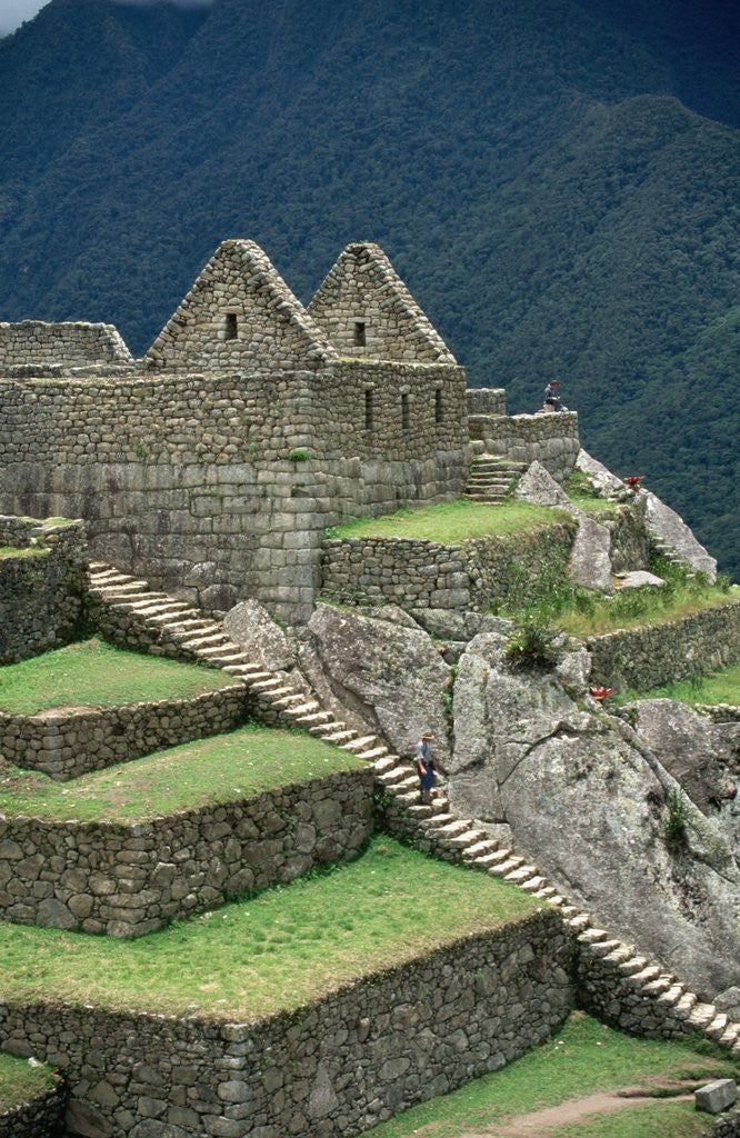 Detail of Ruins at Machu Picchu by Anonymous