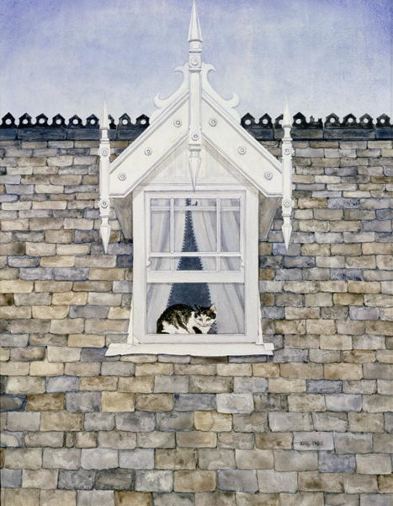 Detail of St.Helier Dormer Cat by Ditz Ditz