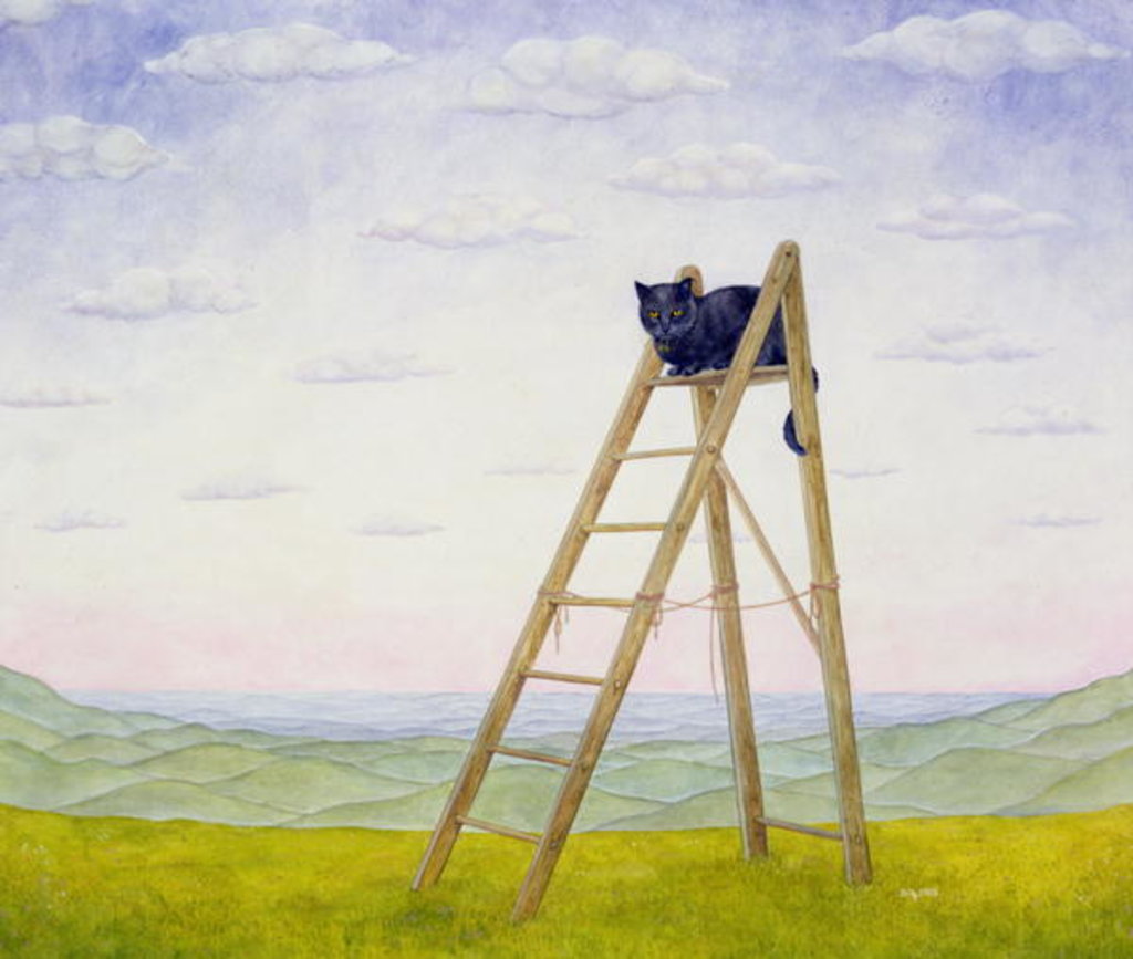 Detail of The Ladder Cat by Ditz Ditz