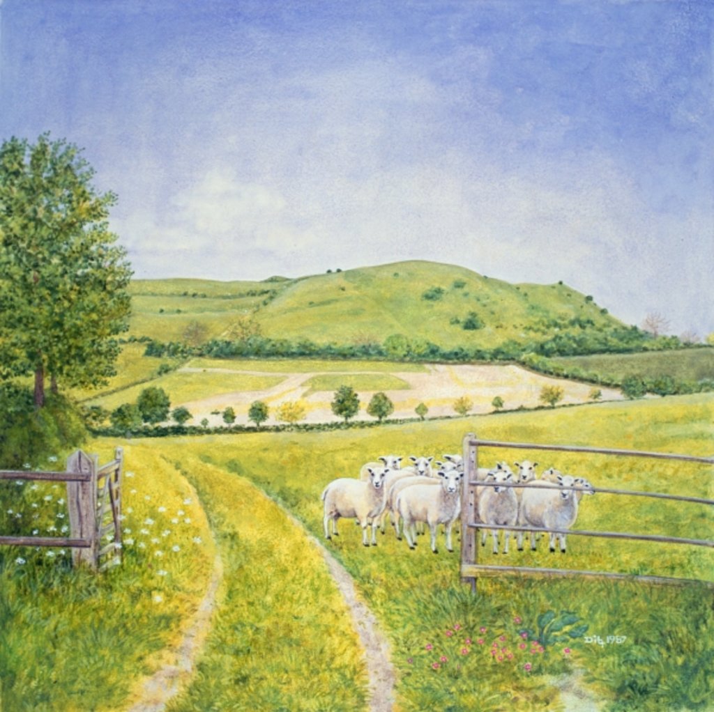 Detail of Wessex Sheep by Ditz Ditz