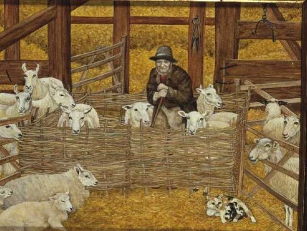 Detail of Barn-sheep by Ditz Ditz