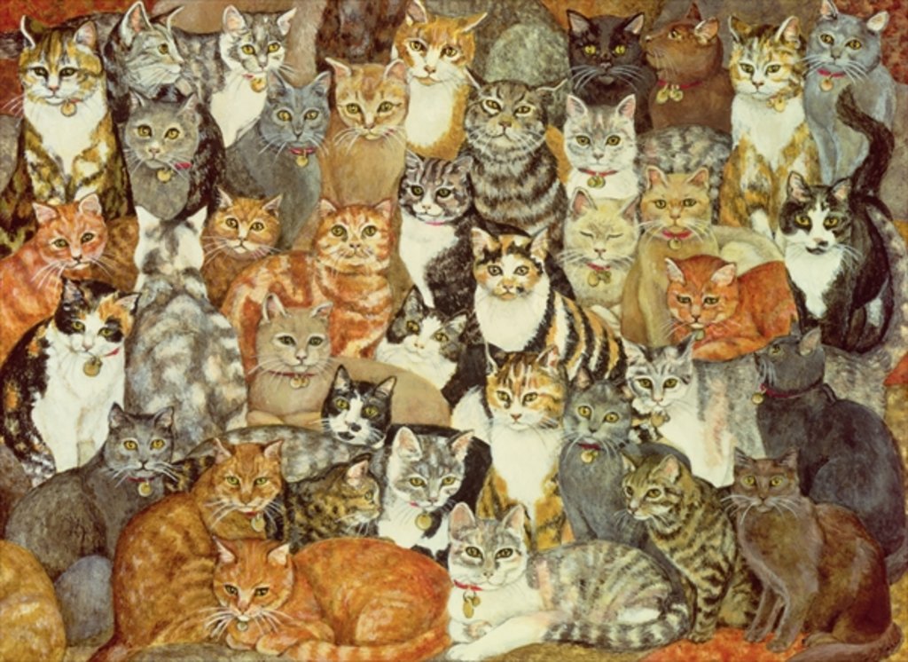 Detail of Cat-Spread by Ditz Ditz