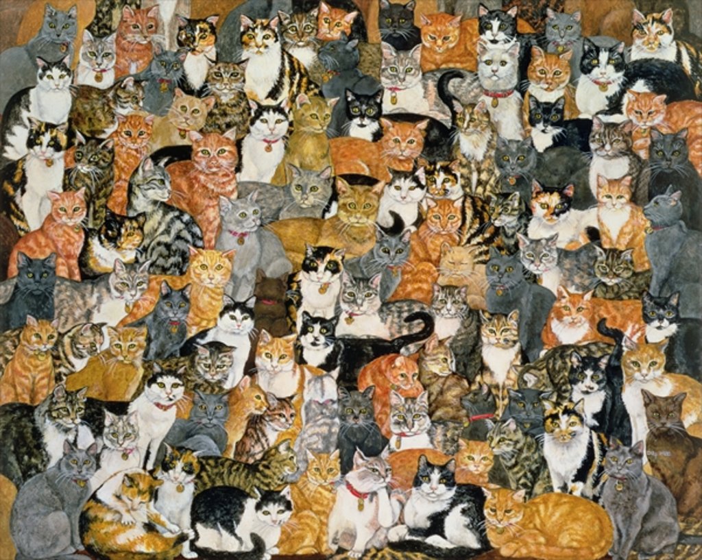 Detail of Double Cat-Spread by Ditz Ditz