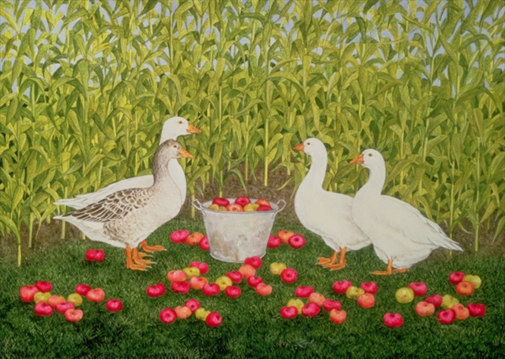 Detail of Sweetcorn-Geese by Ditz Ditz