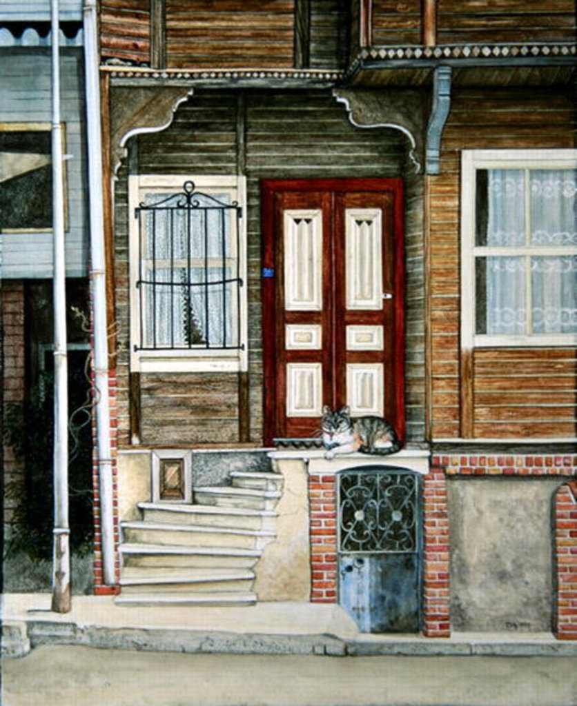 Detail of The Ottoman Cat by Ditz Ditz