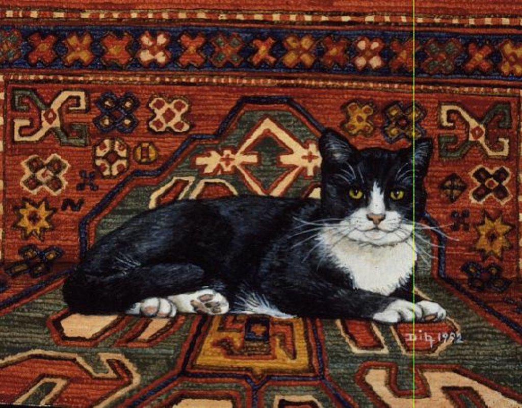 Detail of Second Carpet-Cat-Patch, 1992 by Ditz Ditz