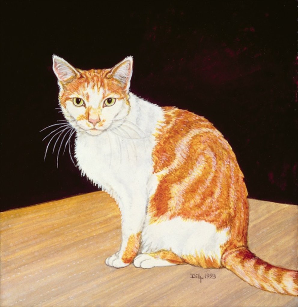 Detail of Thomas by Ditz Ditz