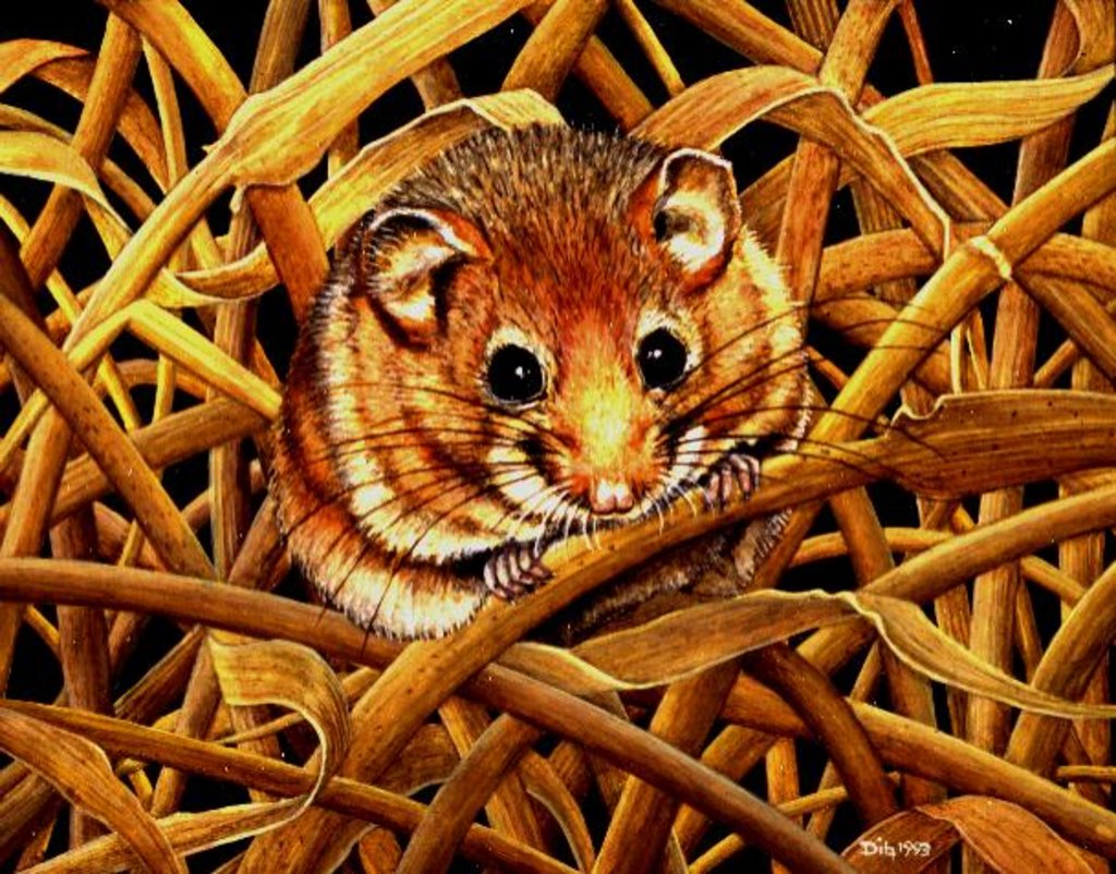Detail of Edible Dormouse, 1993 by Ditz Ditz