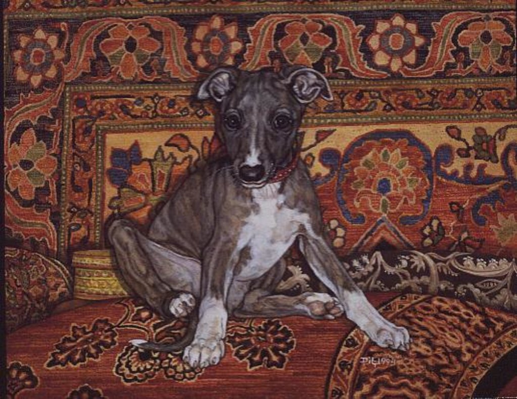 Detail of My Whippet Baby, 1994 by Ditz Ditz