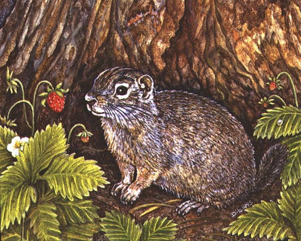 Detail of Eagle Creek, Wild Strawberry, Ground Squirrel, 1995 by Ditz Ditz