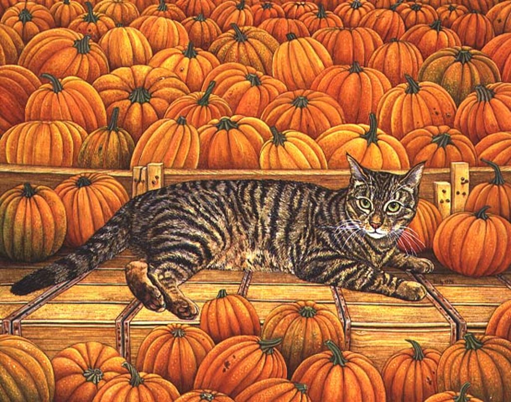 Detail of The Pumpkin-Cat, 1995 by Ditz Ditz
