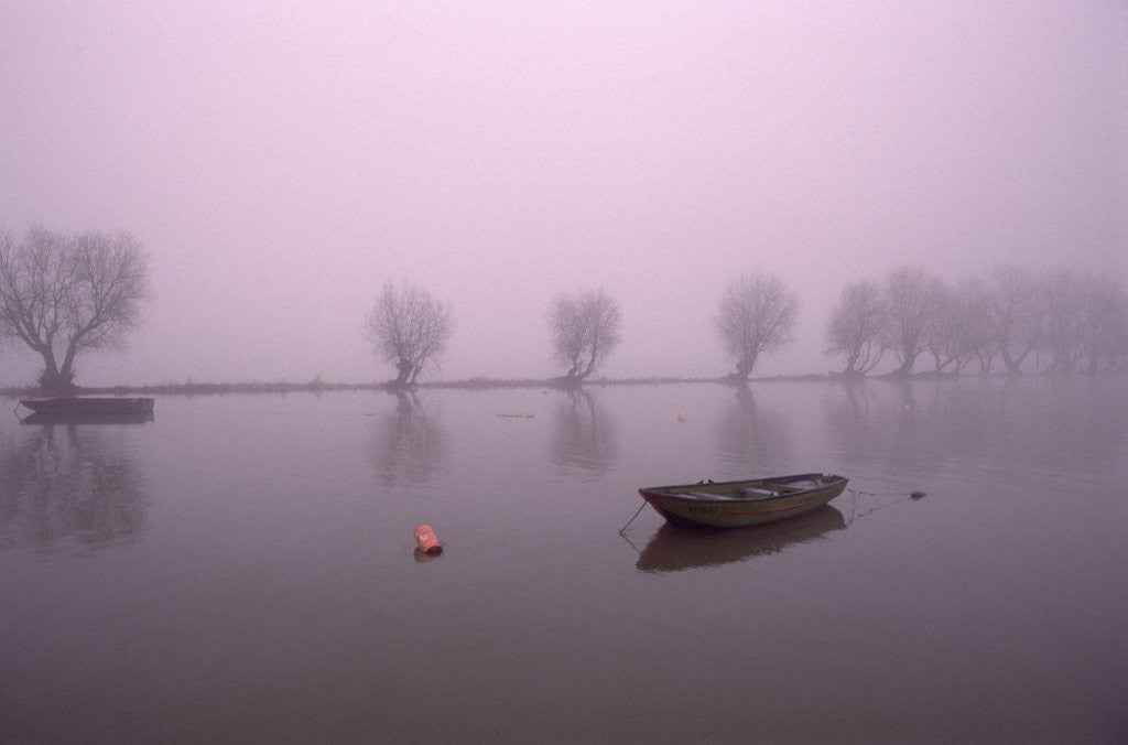 Detail of Mist Obsures Boat in The Rhine by Anonymous