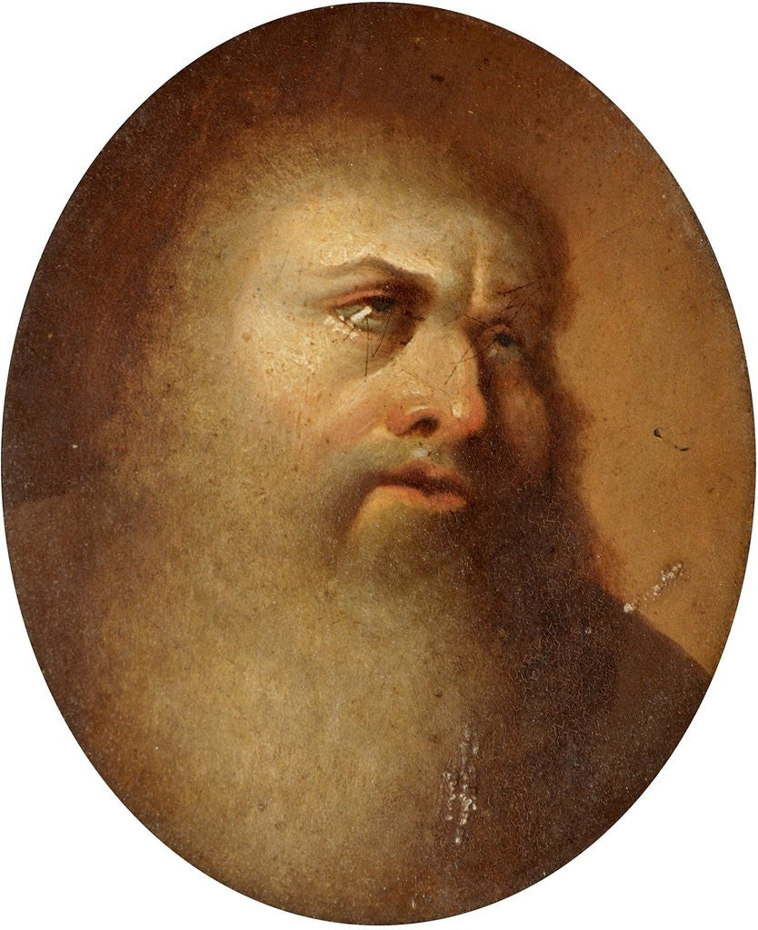 Detail of Portrait of an Old Man with a Beard by Anonymous