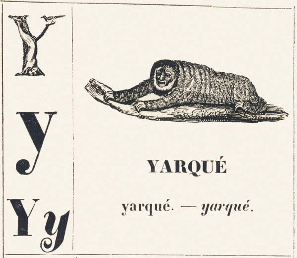 Detail of Y for Yarque, 1850 by Louis Simon Lassalle