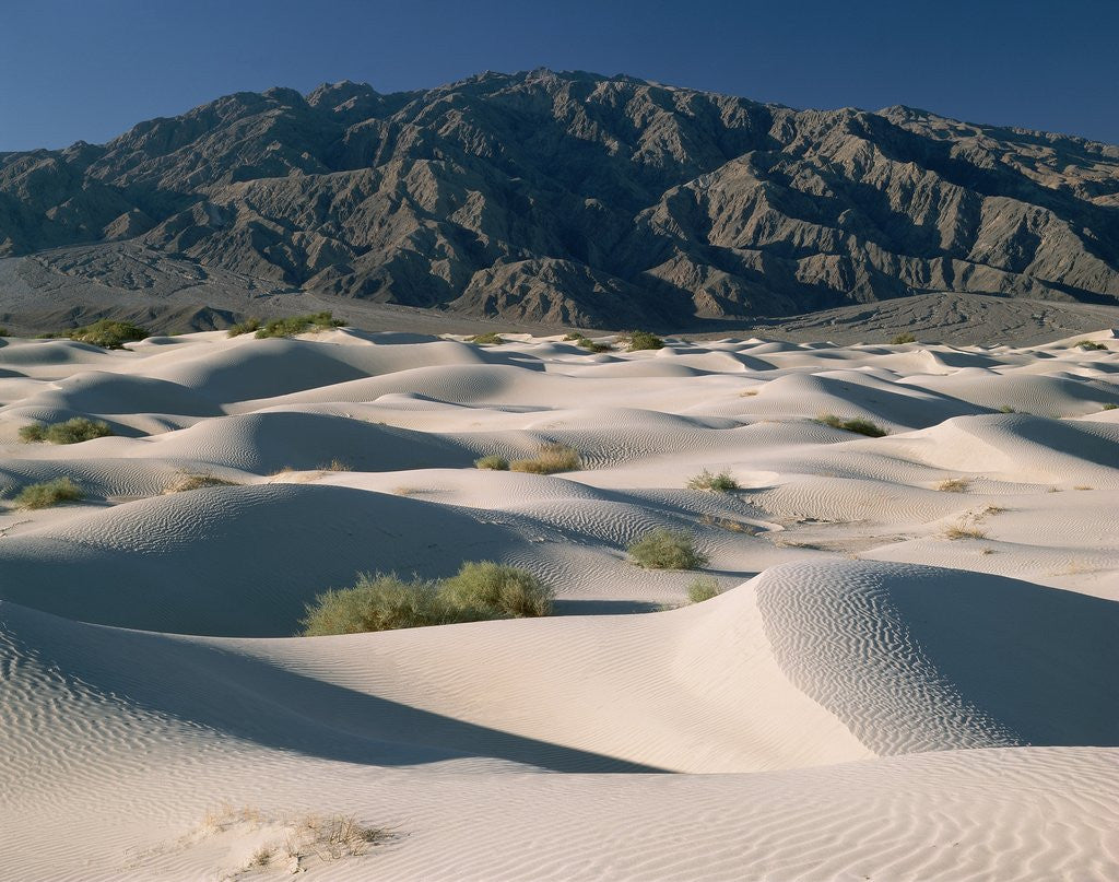 Detail of Mountains and Dunes in Death Valley by Anonymous