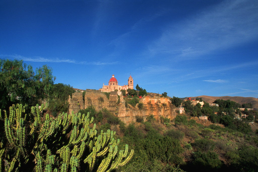 Detail of Church of La Valenciana by Anonymous