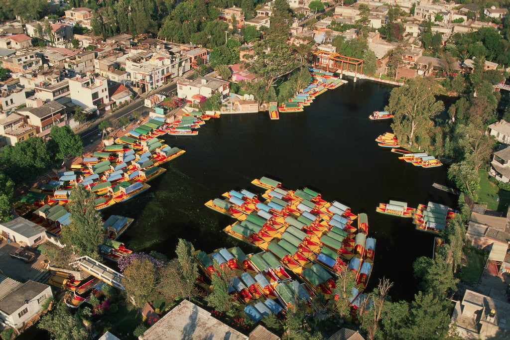 Detail of Aerial of Xochimilco Floating Gardens by Anonymous