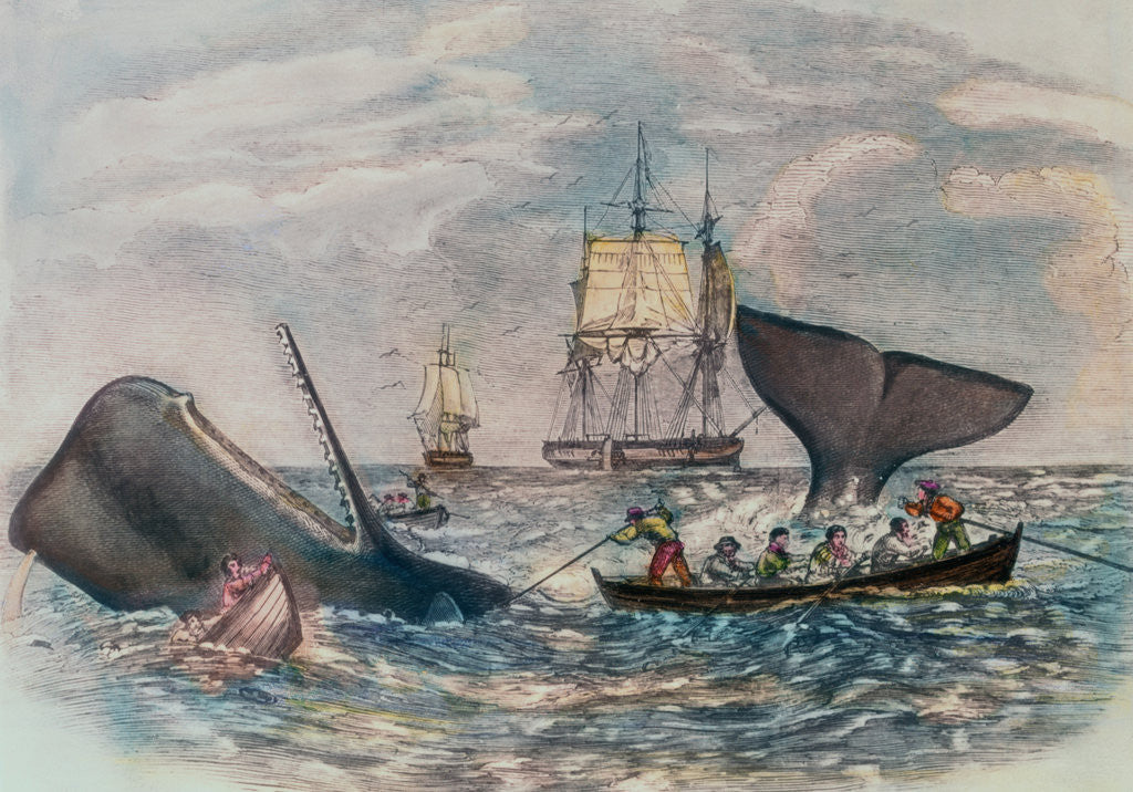 Detail of South Sea Whaling by Anonymous