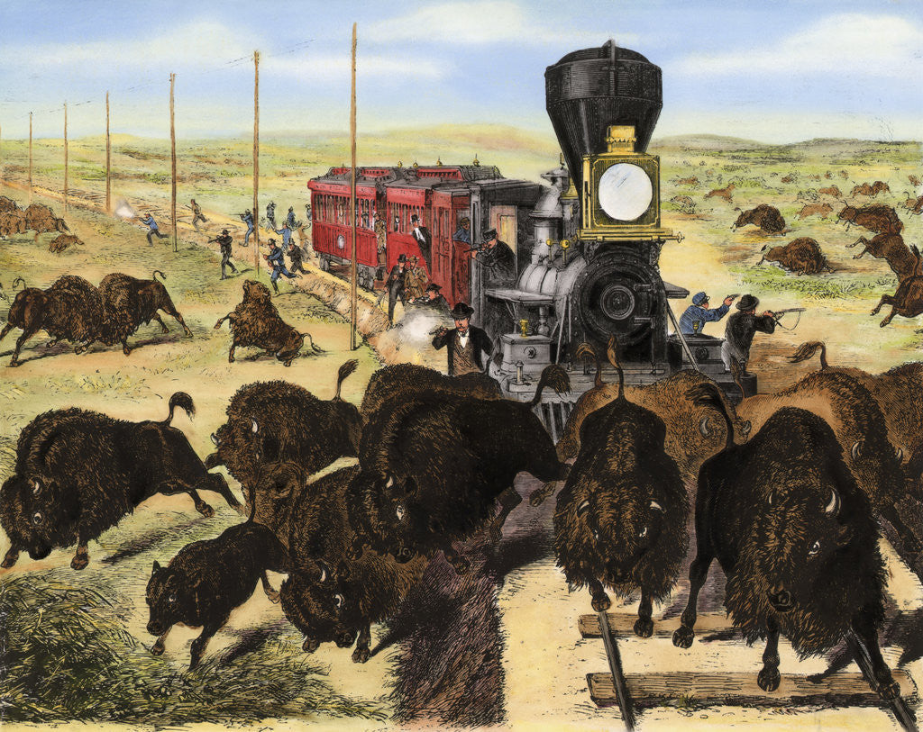 Detail of Shooting Buffalo on the Kansas-Pacific Railroad by Anonymous
