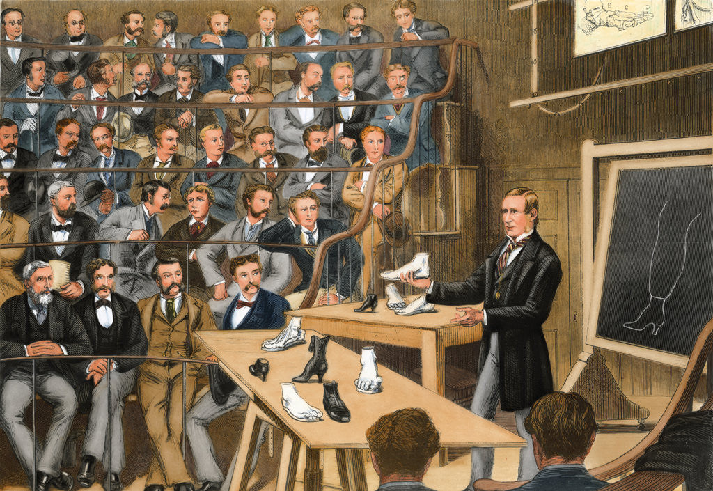 Detail of Lecturer Presenting Model of Foot in Class Presentation by Anonymous