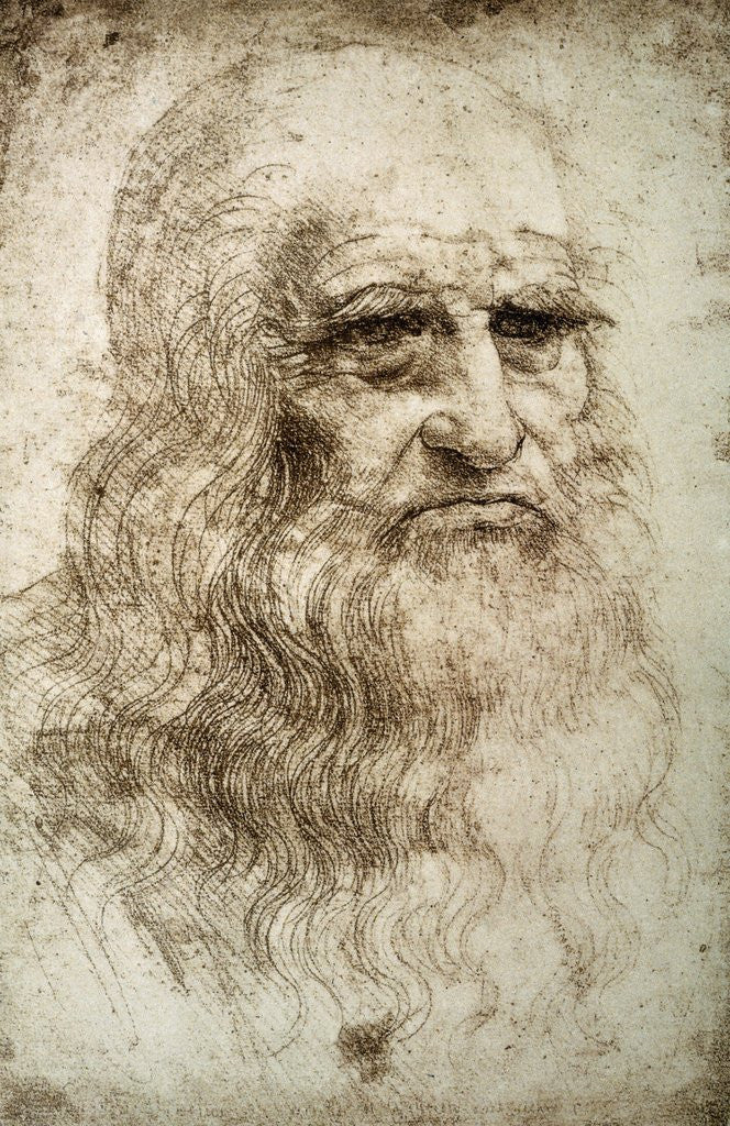 Detail of Self-Portrait by Leonardo da Vinci