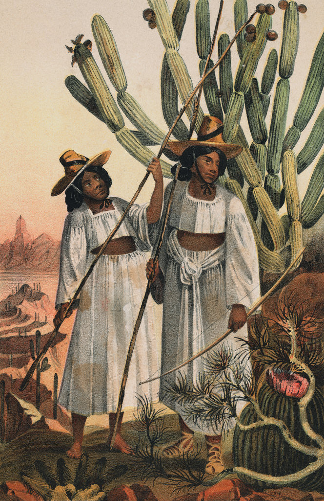 Detail of Portrait of Papago Indians by Anonymous
