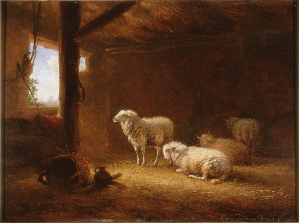 Detail of Sheep in Byre by Eugéne Joseph Verboeckhoven