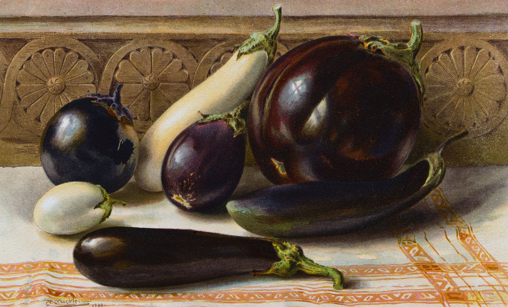 Detail of Still life of Eggplant by Anonymous