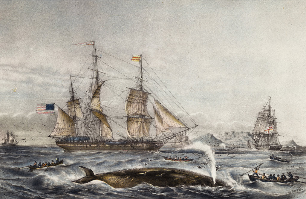 Detail of Cape of Good Hope by Anonymous