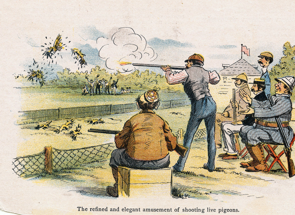 Detail of Shooting Captive Pigeons for Sport by Anonymous