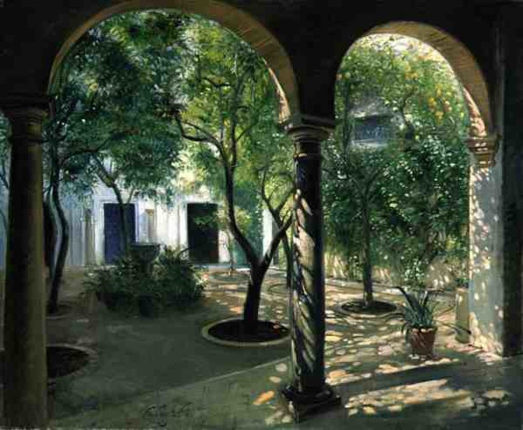 Detail of Shaded Courtyard, Vianna Palace, Cordoba by Timothy Easton