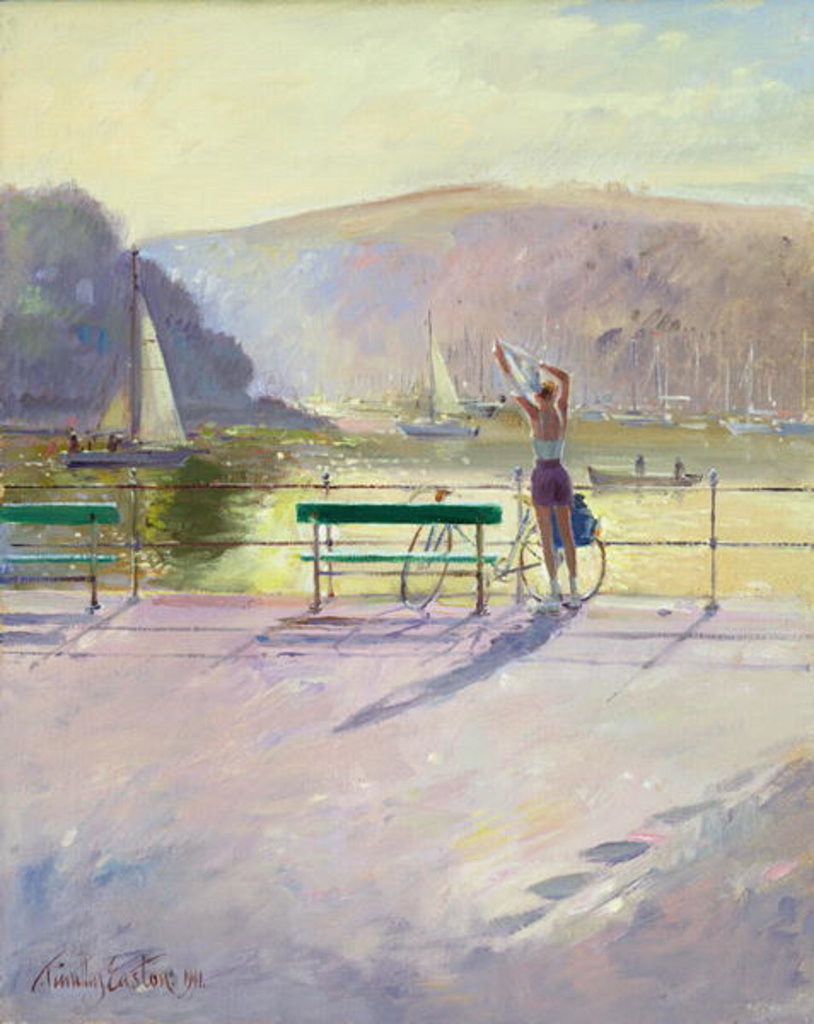 Detail of Coastal Rider by Timothy Easton