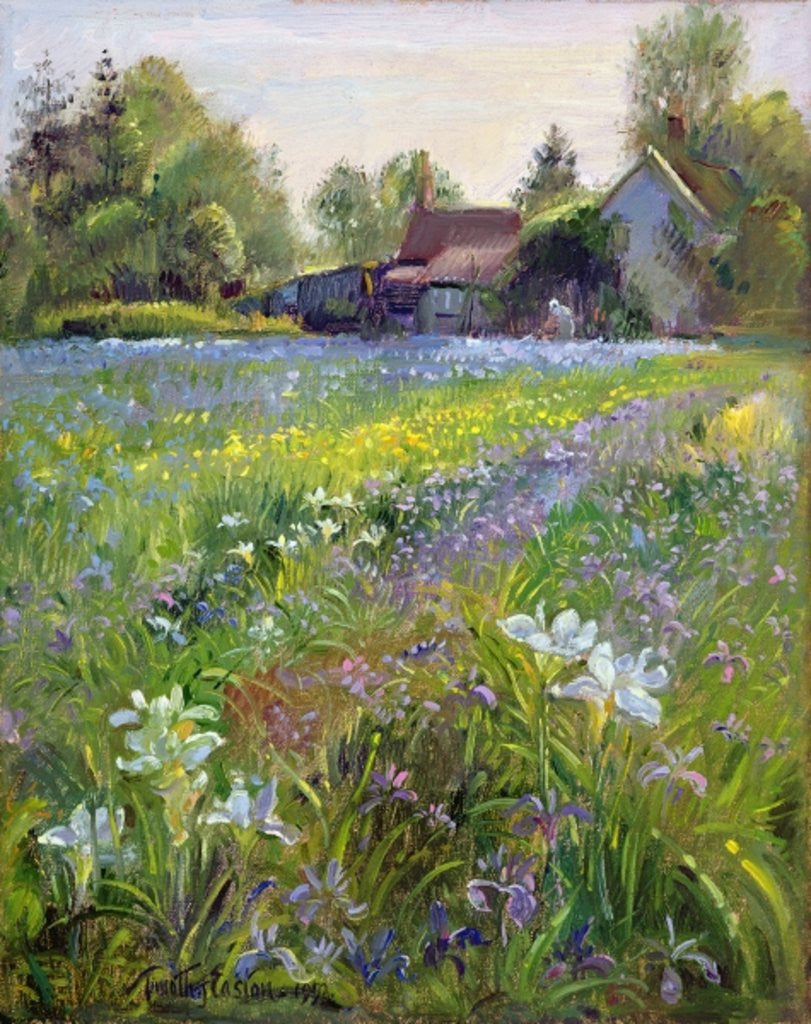 Detail of Dwarf Irises and Cottage by Timothy Easton