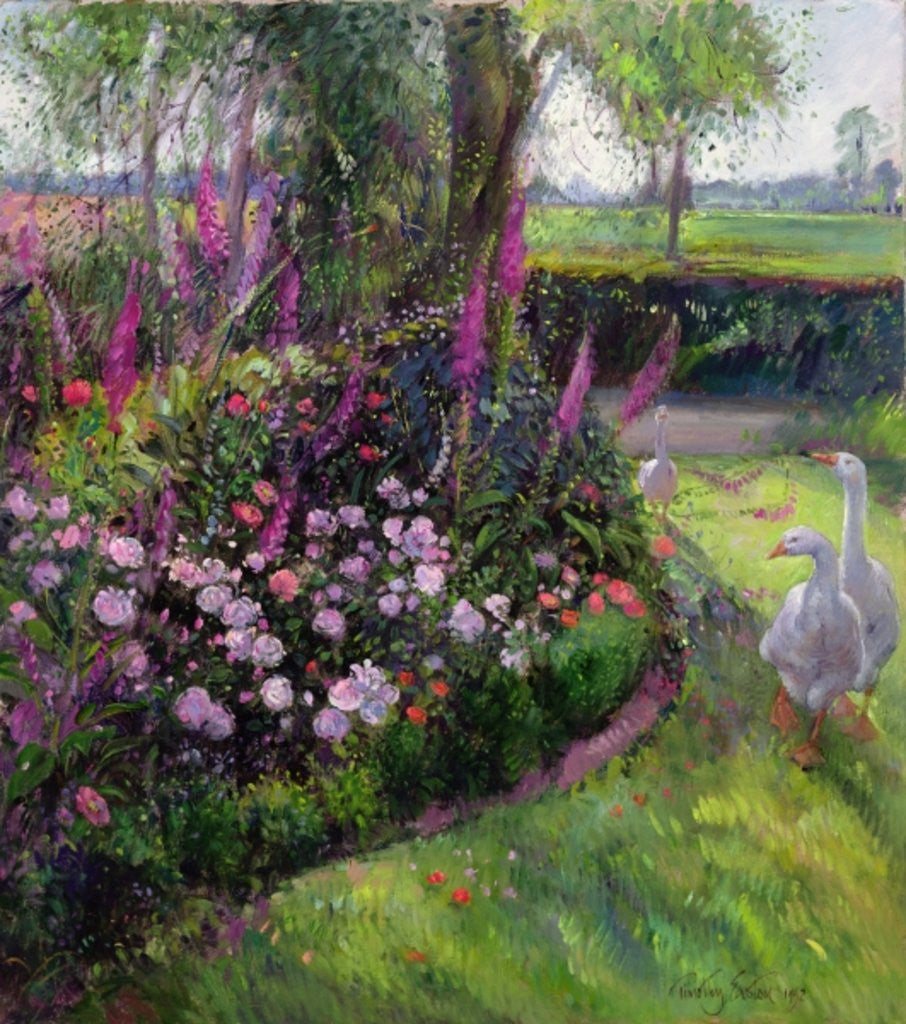 Rose Bed and Geese by Timothy Easton