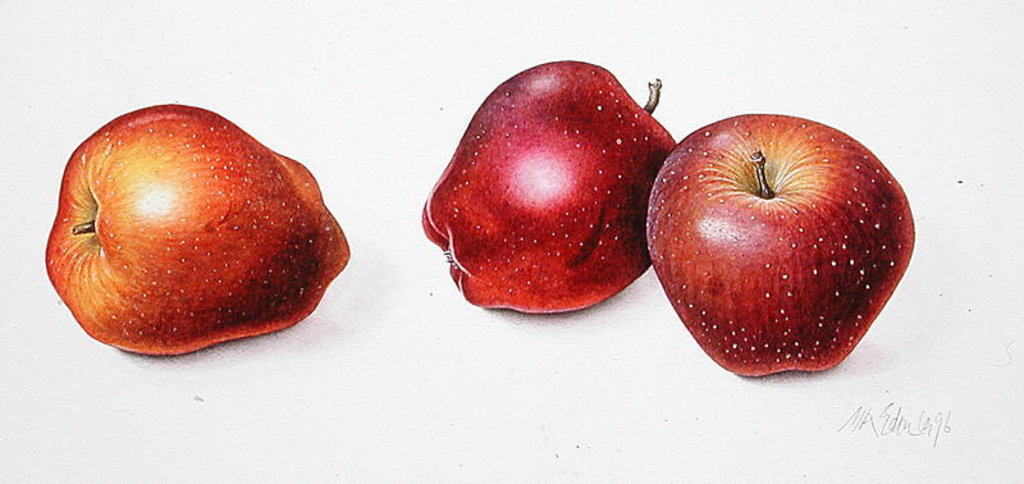 Detail of Red Apples, 1996 by Margaret Ann Eden
