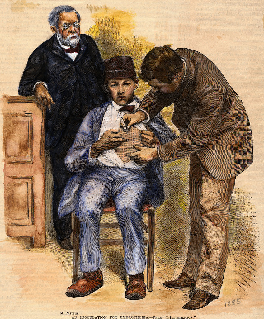 Detail of Print of Pasteur Performing Rabies Treatment on Patient by Anonymous