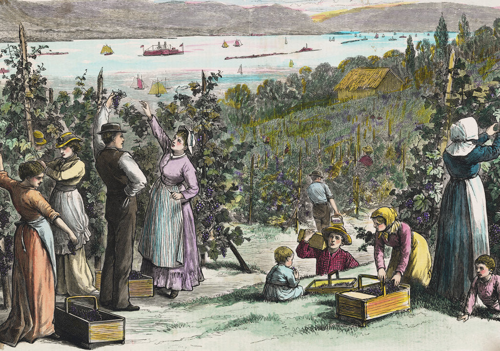 Detail of Farmers Picking Grapes on River's Edge by Anonymous