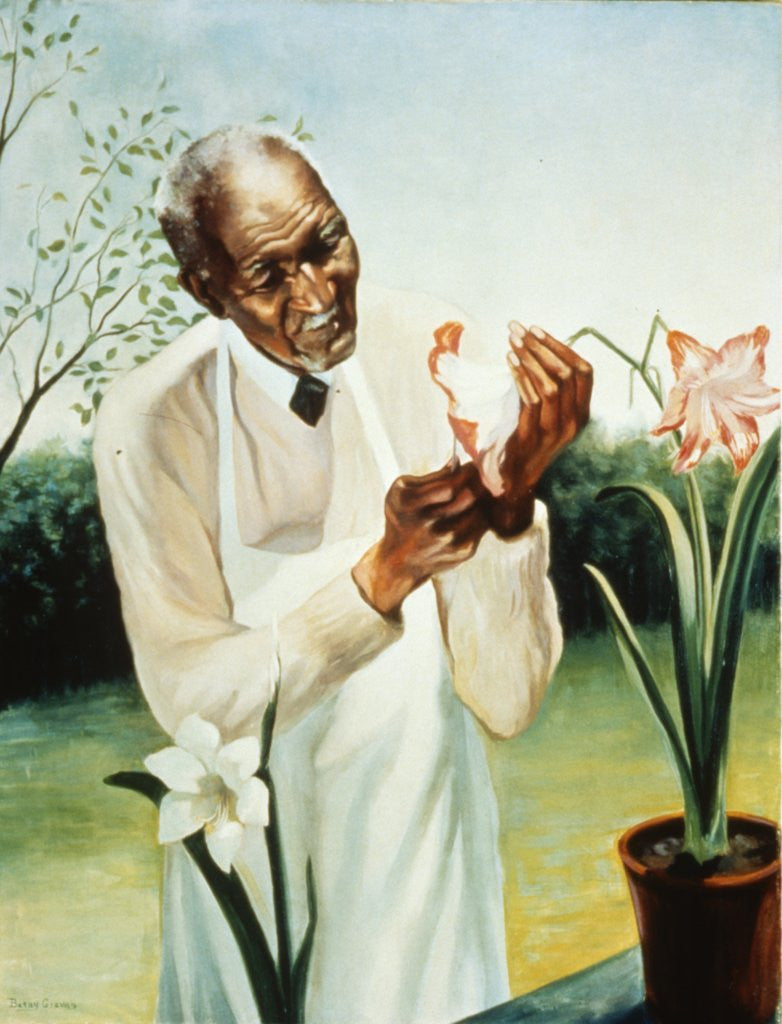 Detail of George Washington Carver by Anonymous