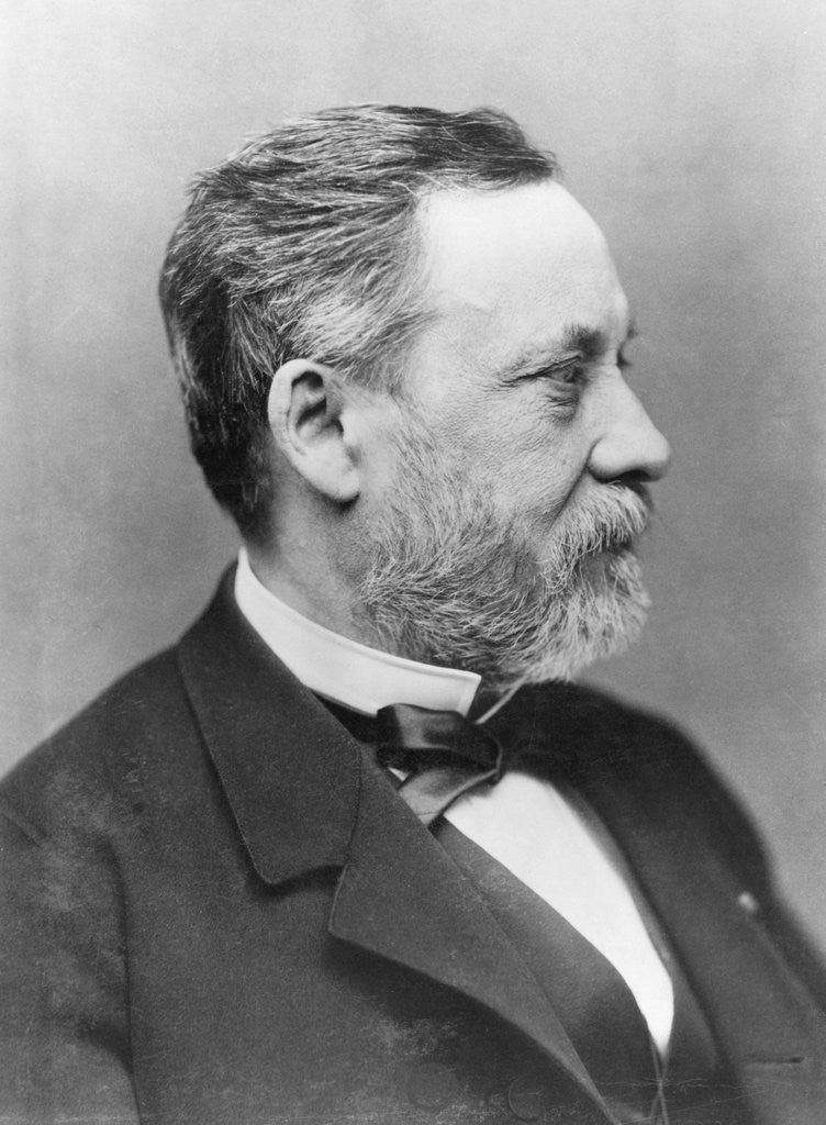 Detail of Portrait of Louis Pasteur by Anonymous