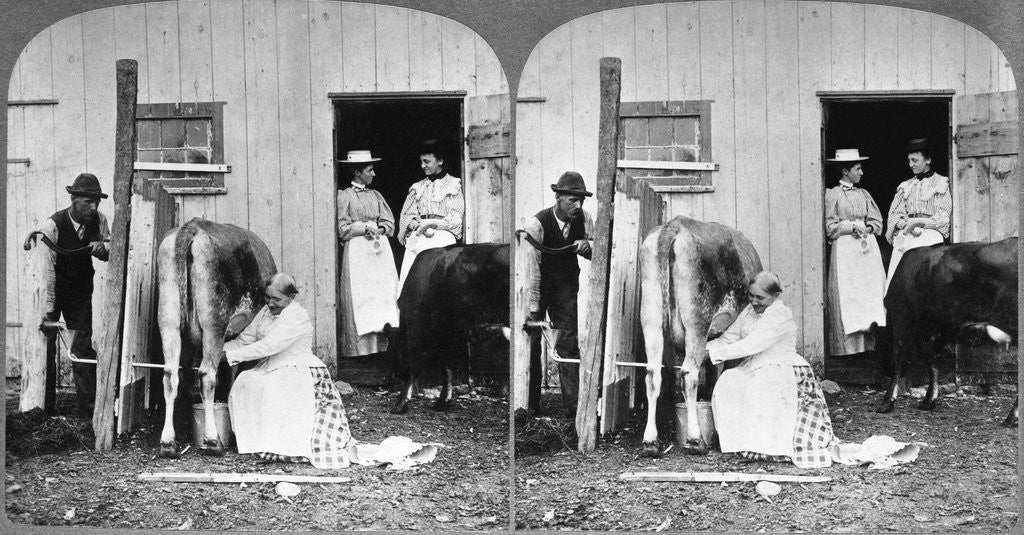 Detail of City Visitors Wait for 'Farm Fresh' Milk by Anonymous