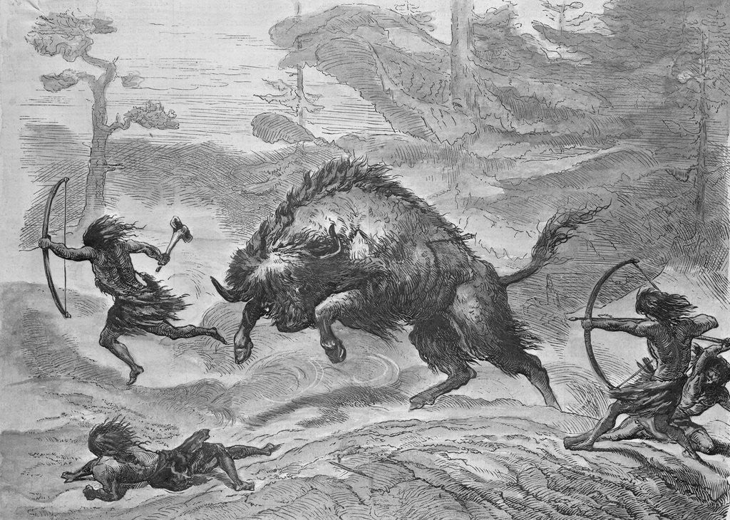 Detail of Illustration Depicting Hunting of Cattle by Anonymous