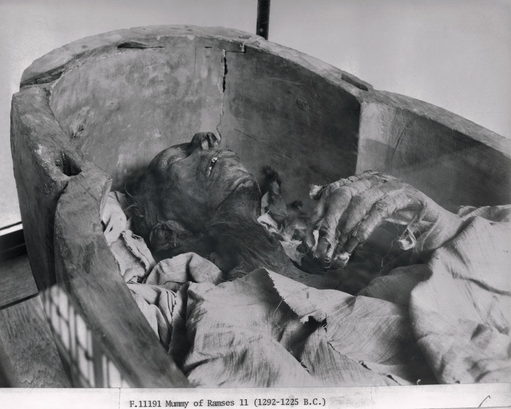 Detail of Mummy of Ramses II King of 19th Dynasty of Egypt by Anonymous