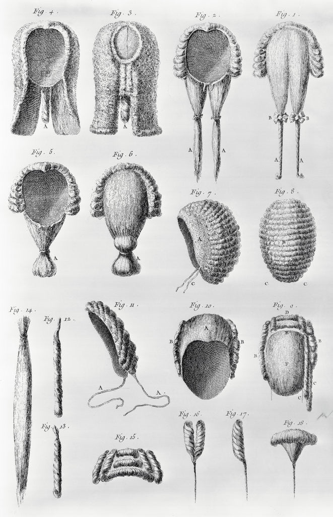 Detail of Book Illustration Showing Different Wigs by Anonymous