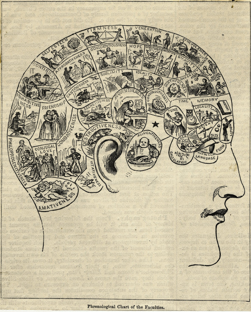 Detail of Phrenological Chart Showing Mental Functions by Anonymous