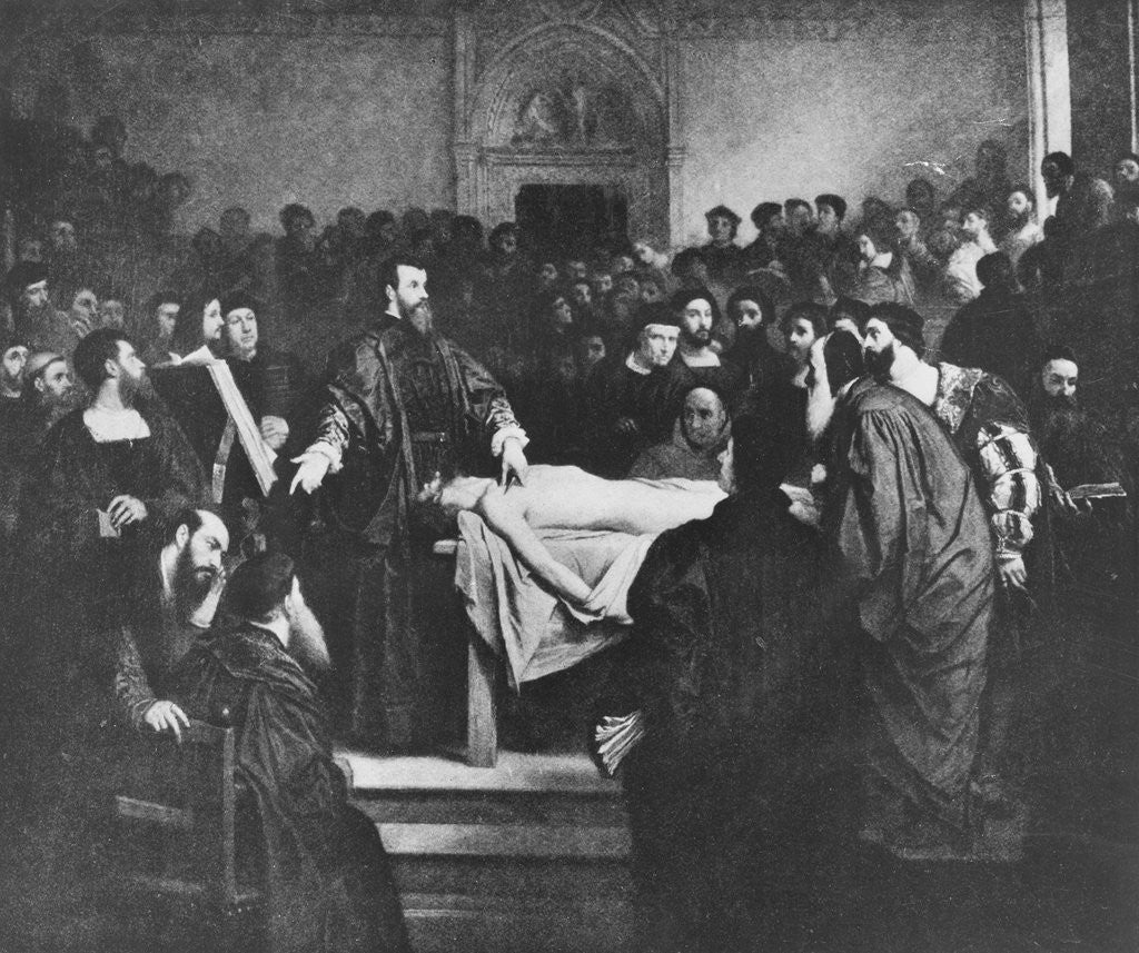 Detail of Painting Depicting Human Dissection by Anonymous